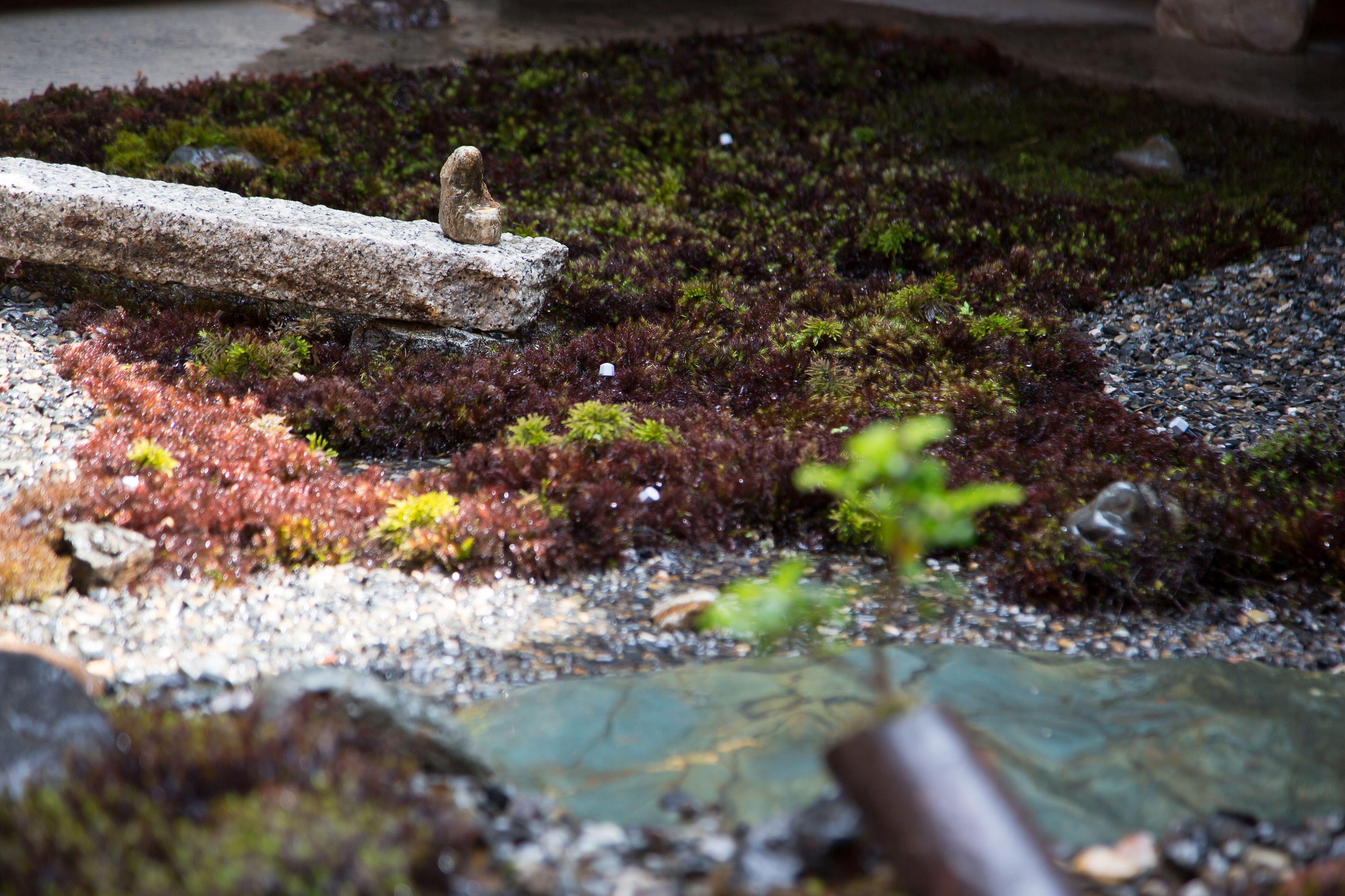 Ryokan Mugen (Adults Only) — Photos 3